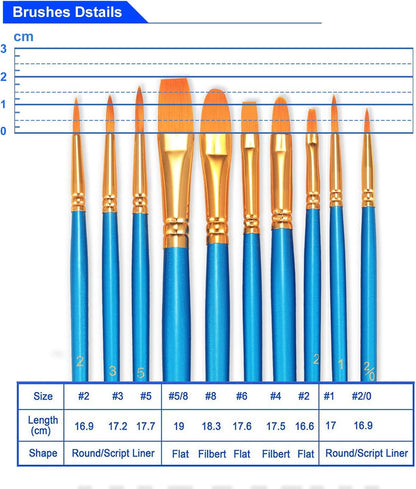 Paint Brushes Set