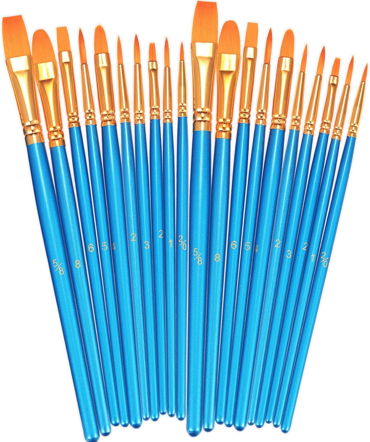 Paint Brushes Set